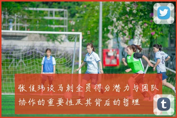 张佳玮谈马刺全员得分潜力与团队协作的重要性及其背后的哲理
